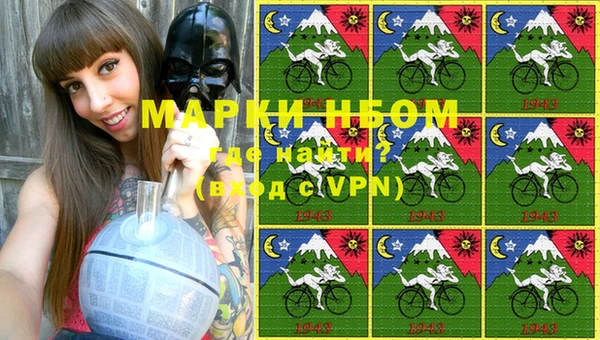 гашик Алексеевка
