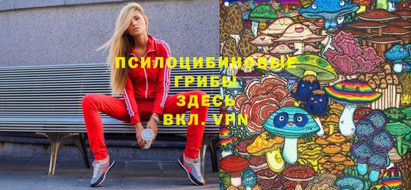 гашик Алексеевка